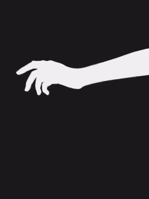 Item #455000158 Media