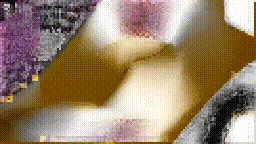 Item #472000284 Media