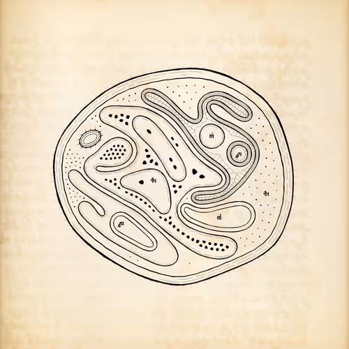 Cytographia By Golan Levin