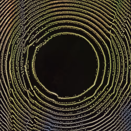 Item #416000032 Media