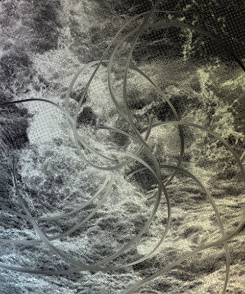 Item #405000063 Media