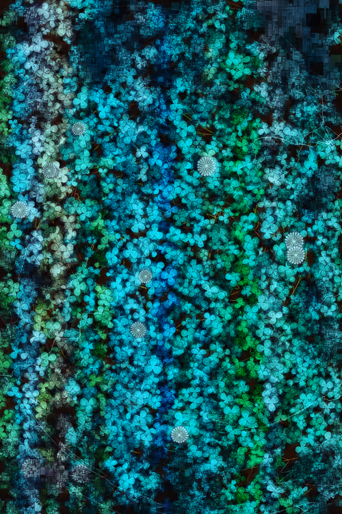 Item #478000018 Media