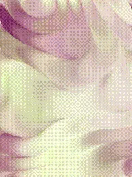 Item #399000209 Media