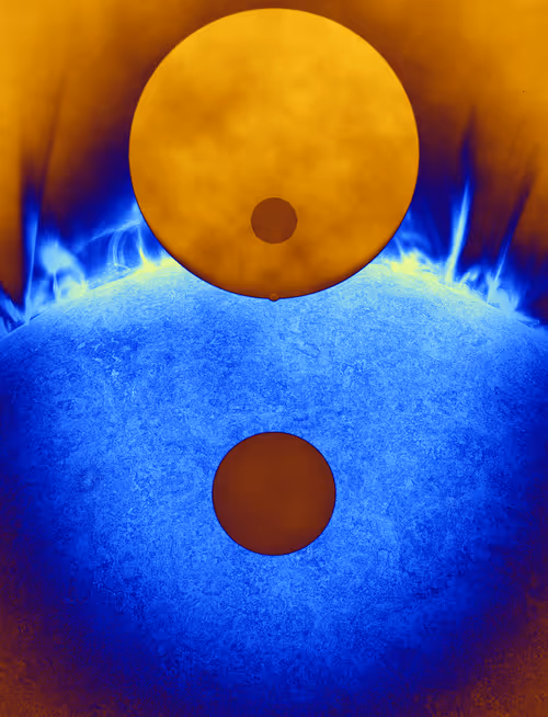 Item #423000029 Media