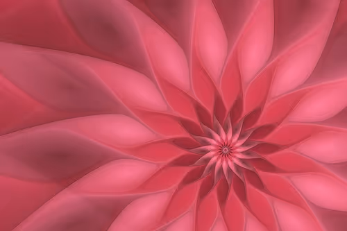 Item #394000071 Media