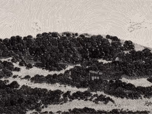 Item #476000049 Media