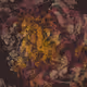 458000062