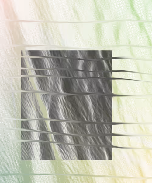 Item #405000117 Media