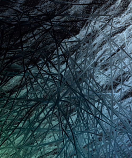 Item #405000082 Media