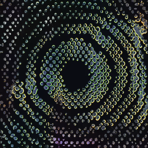 Item #416000031 Media