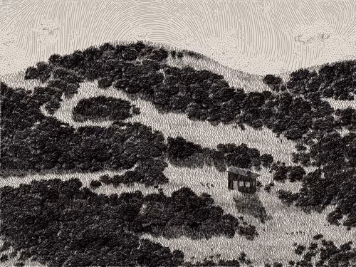 Item #476000178 Media