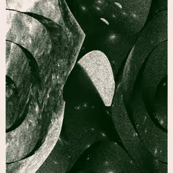 Voyager #161