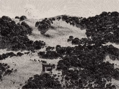 Item #476000111 Media