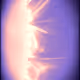 423000366