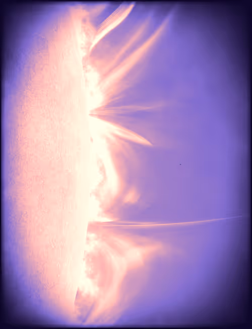 Item #423000366 Media