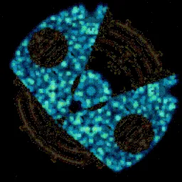 Item #395000258 Media