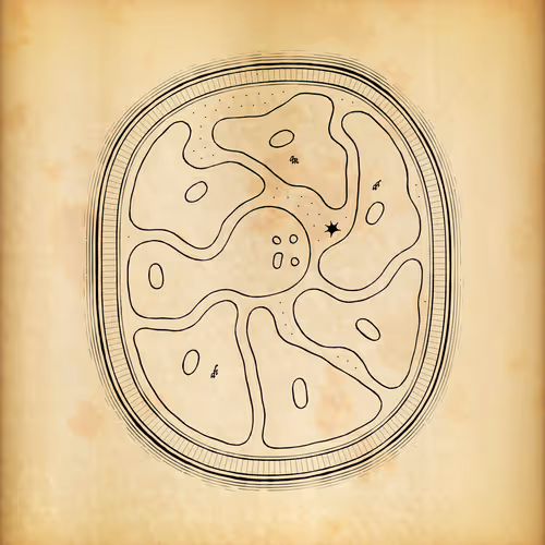 Cytographia By Golan Levin