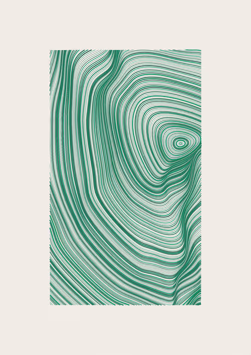 Item #443000273 Media