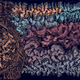 456000598