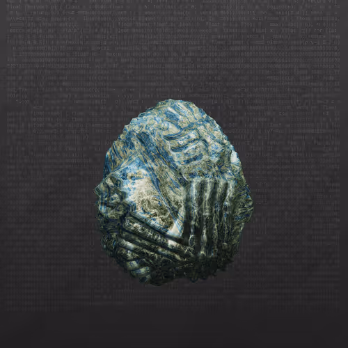 This Is Not A Rock By Nicole Vella