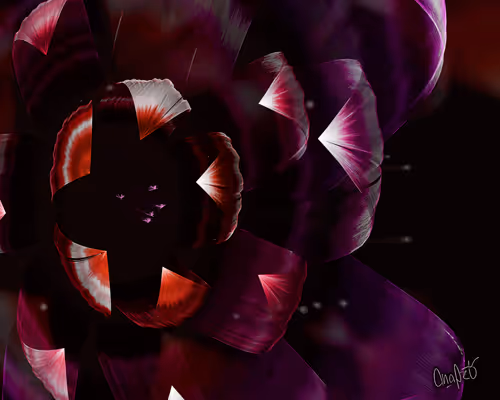 Item #378000205 Media