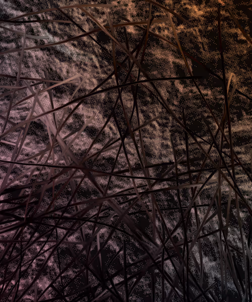 Item #405000026 Media