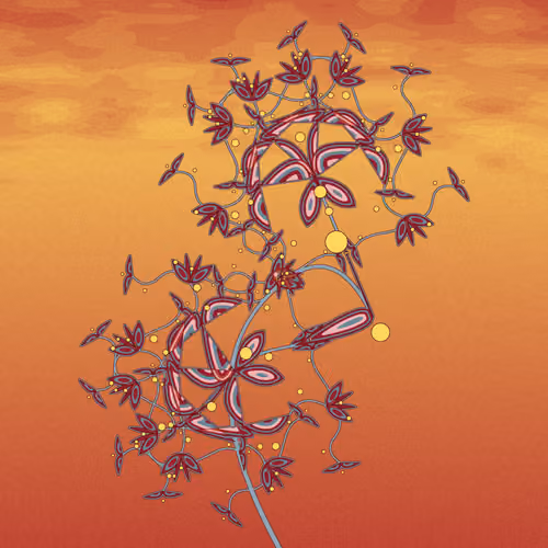Seedlings #157