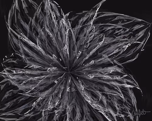 Item #378000038 Media