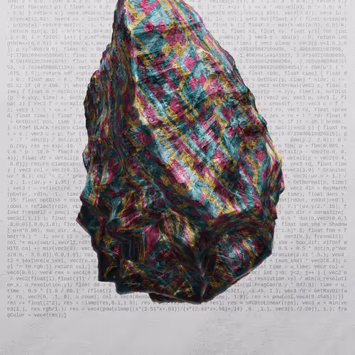 This Is Not A Rock By Nicole Vella