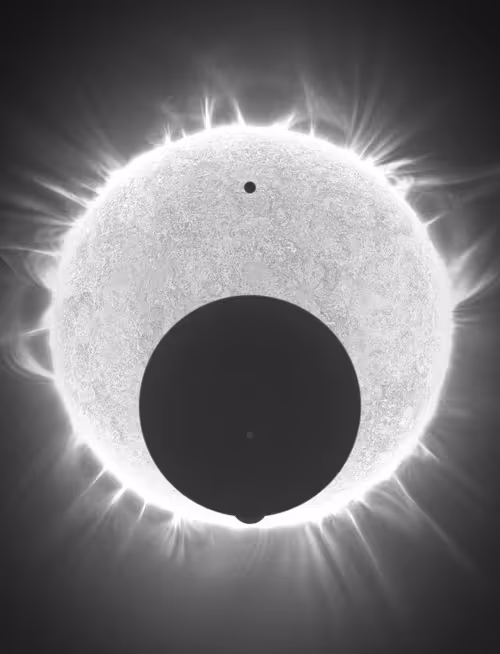 Item #423000243 Media