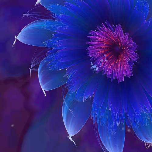 Fleur By Anapet