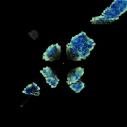 Item #395000256 Media