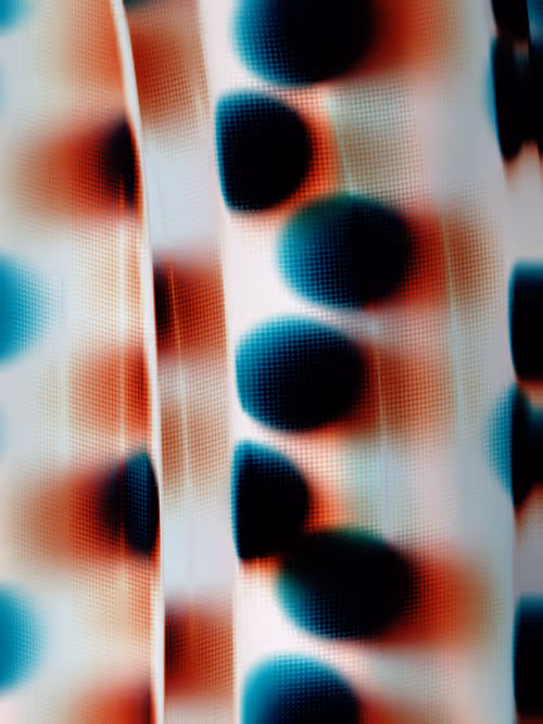 Item #484000101 Media