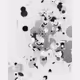 452000010