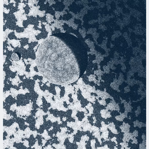 Voyager #108