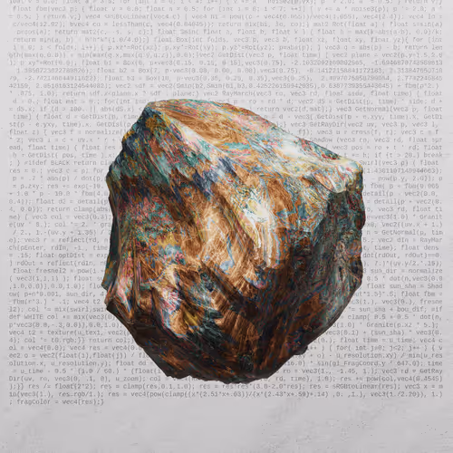 This Is Not A Rock By Nicole Vella