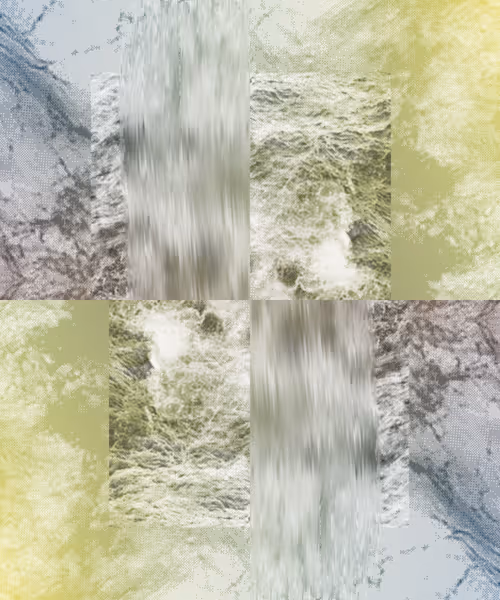 Item #405000035 Media