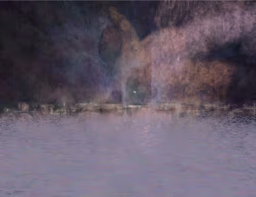 Item #459000000 Media