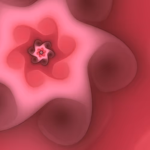 Volute By Rvig
