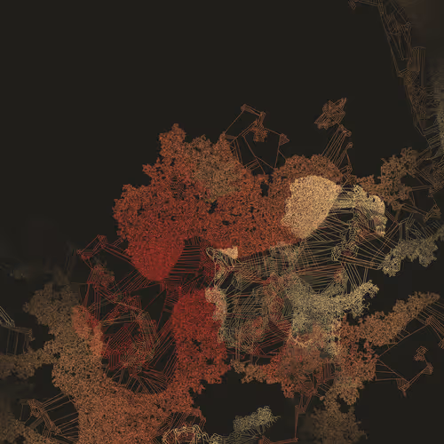 Mycelia By Jmy