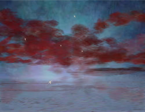 Item #459000015 Media