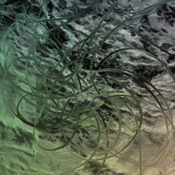 chaos comes with the summer haze #49