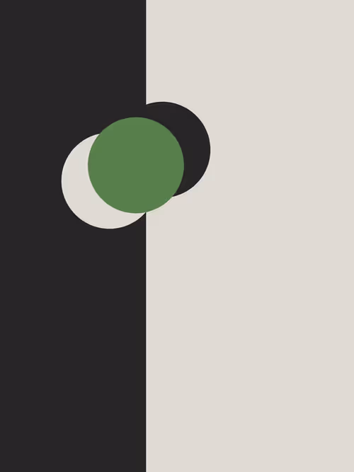 Item #390000014 Media