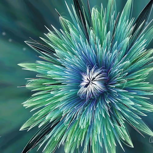 Fleur #164