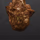 This Is Not A Rock #265