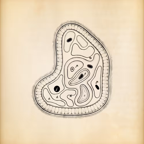 Item #487000409 Media