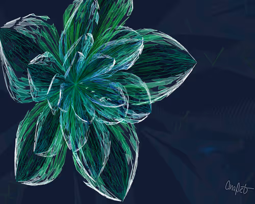 Item #378000223 Media