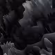 481000272