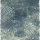 Rippling #44