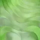 399000229